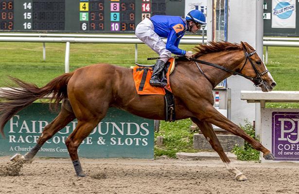 equery spieropbouw voor betere prestaties equery spieropbouw voor betere prestaties